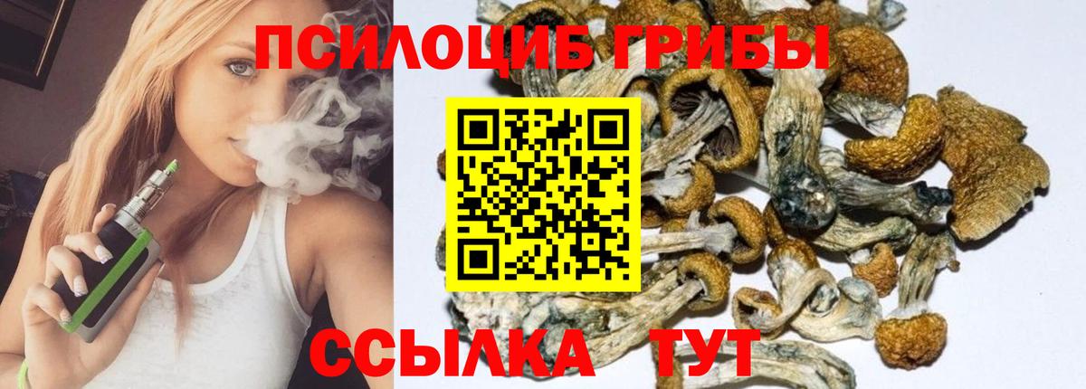Россия  Галлюциногенные грибы Psilocybe  Вход с VPN 