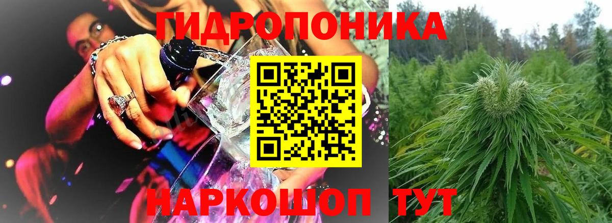 Бошки Шишки планчик  Вход с VPN  Каннабис MAZAR  Марихуана LSD WEED  МАРИХУАНА тримм  Россия 